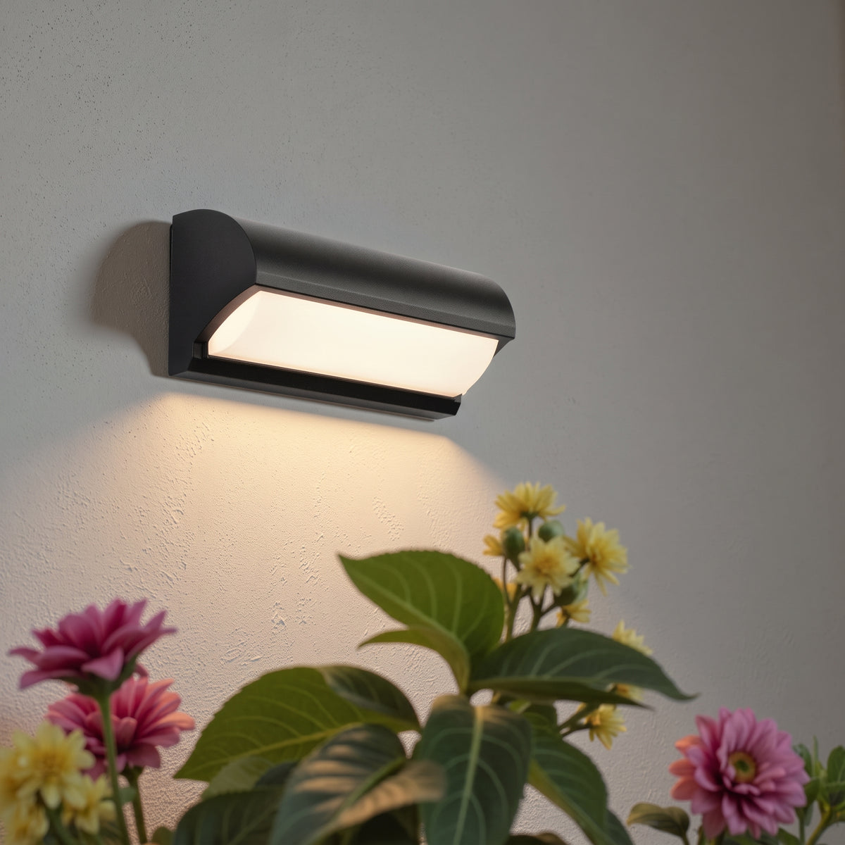 Curved LED Outdoor Wall Light with Upward and Downward Glow