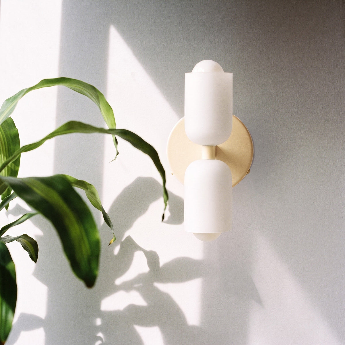 Double Head Wall Lights with Brass Frame and Glass Shades - Wall Light Fixtures - Cream - Seravelle Home