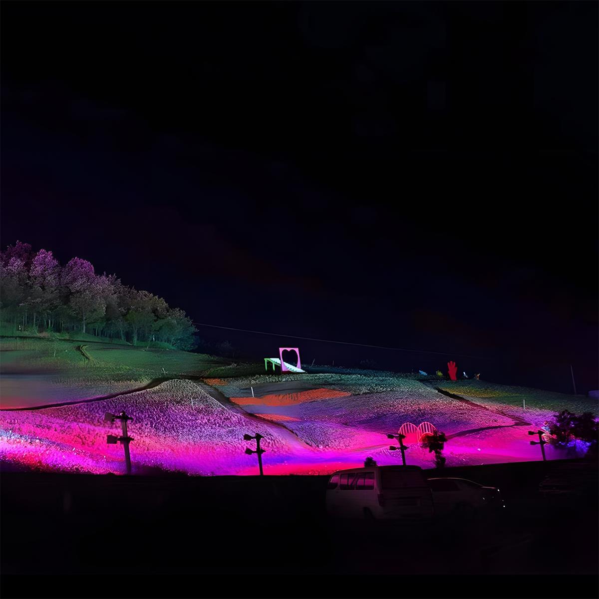 RGB LED Landscape Spotlight Outdoor Waterproof Garden Tree spotlight - Flood & Spot Lights - 24W - Seravelle Home