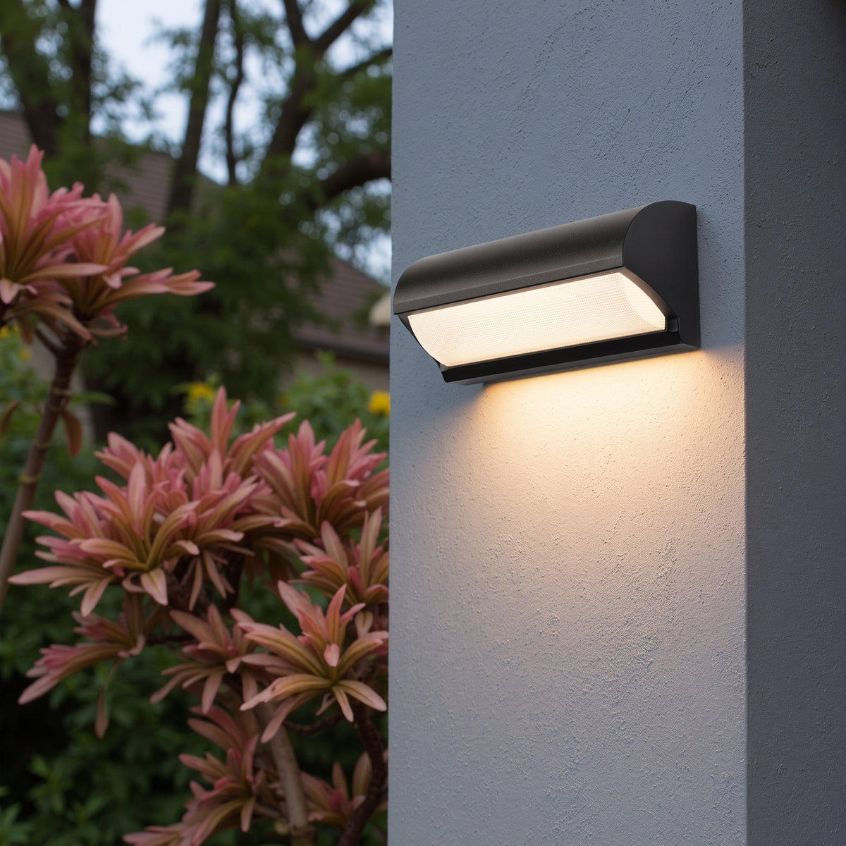Curved LED Outdoor Wall Light with Upward and Downward Glow