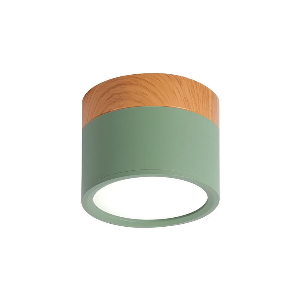 Ceiling Light in Minimalist Cylinder Design - Ceiling Light - Green - Seravelle Home