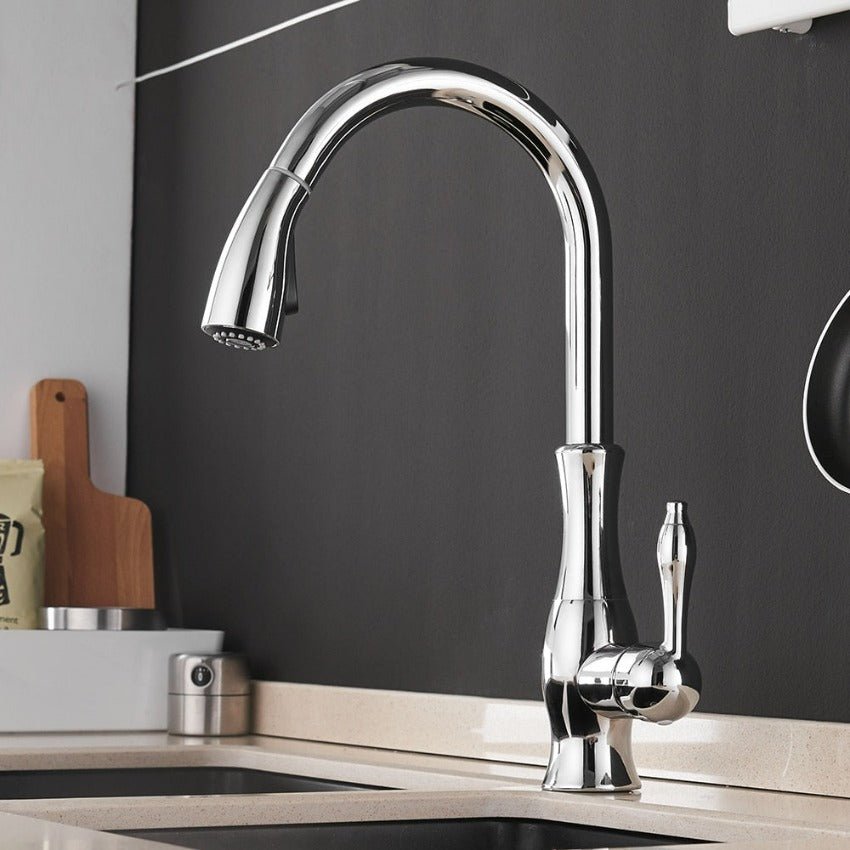 Kitchen Tap with Pull - Out Spray - Faucet - Silver - Seravelle Home