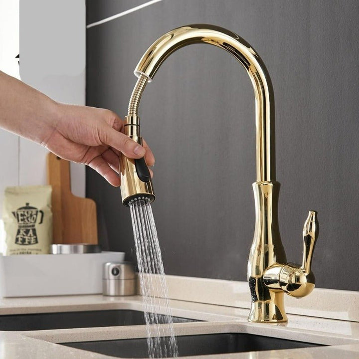 Kitchen Tap with Pull - Out Spray - Faucet - Gold - Seravelle Home