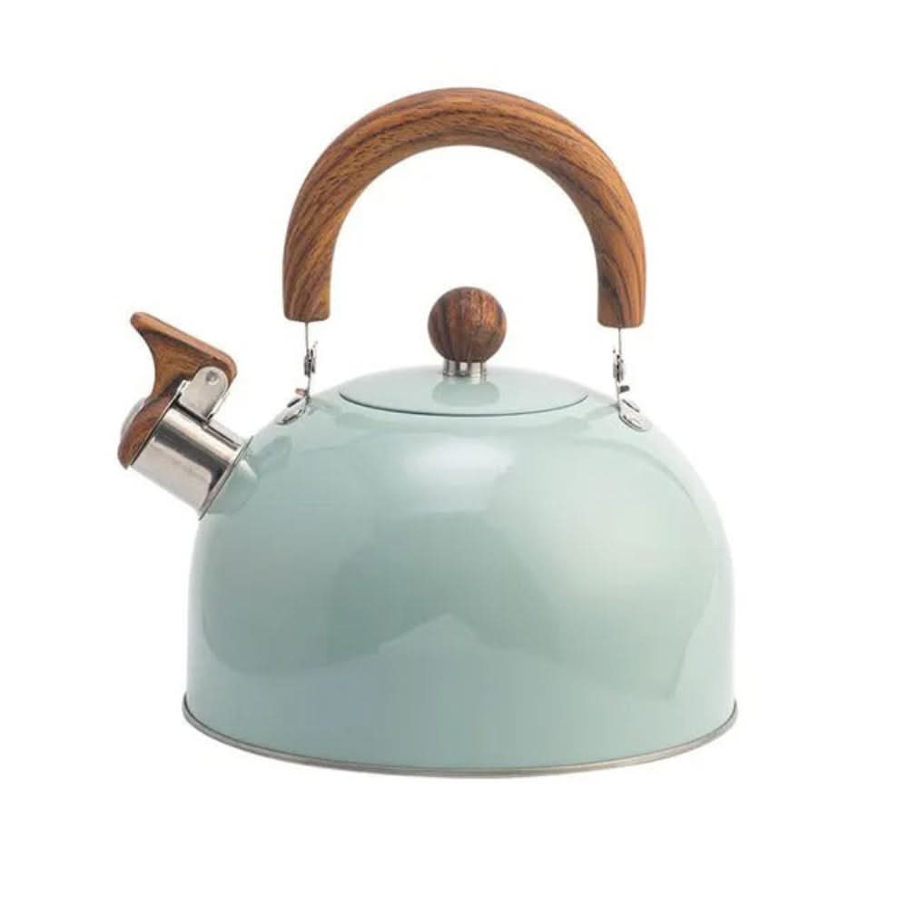 Stainless Steel Whistling Kettle with Wooden Handle - Kettle - Light Green - Seravelle Home