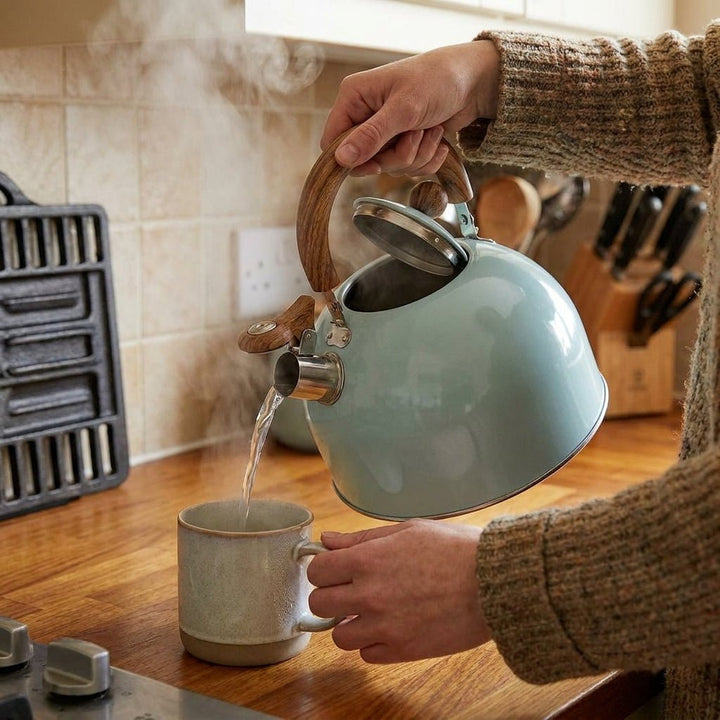 Stainless Steel Whistling Kettle with Wooden Handle - Kettle - Light Green - Seravelle Home