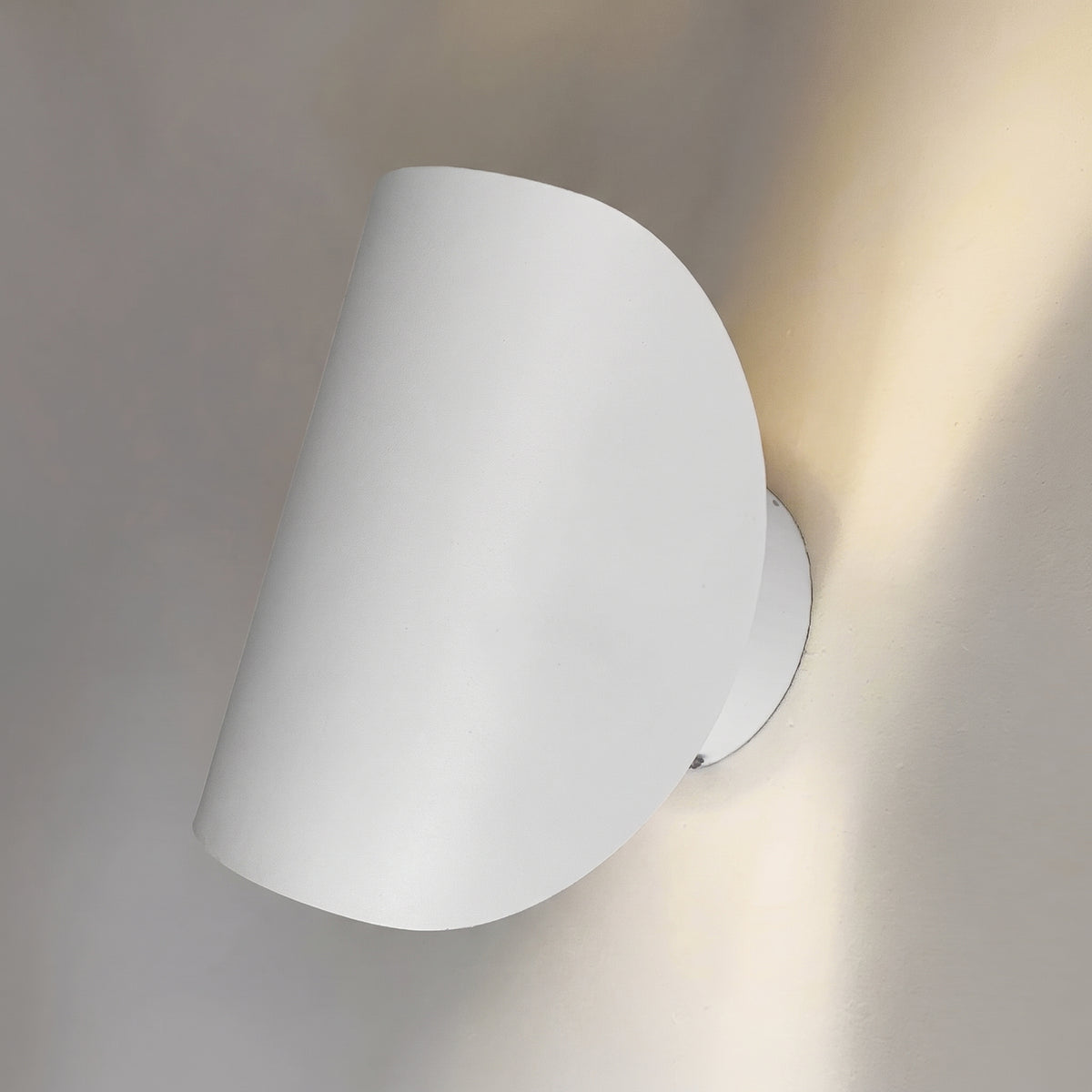 Up and Down LED Wall Light with Curved Metal Shade